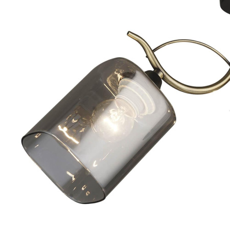 Потолочные люстры — Потолочная люстра Seven Fires Спелло 66284.01.37.03 купить в  Потолочные люстры — Потолочная люстра Seven Fires Спелло 66284.01.37.03 купить в