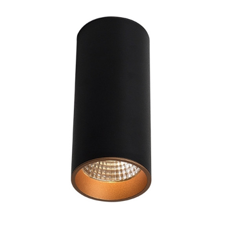 Накладные точечные светильники — Накладной светильник LeDron SLC7392/12W-BG купить в  Накладные точечные светильники — Накладной светильник LeDron SLC7392/12W-BG купить в