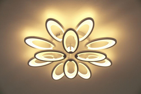 Потолочные люстры — Потолочная светодиодная люстра Escada 10238/12LED купить в 