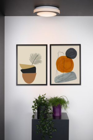 Накладные светильники — Накладной светильник LUCIDE 79179/12/30 купить в 