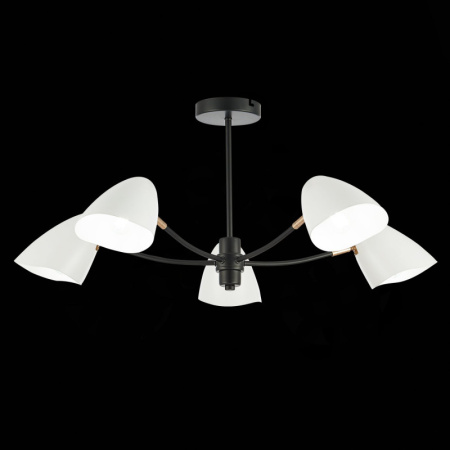 Люстры на штанге — Люстра на штанге Evoluce SLE103602-05 купить в 