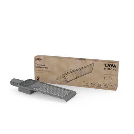 Консольные светильники — Консольный светильник Gauss 629534220 купить в 