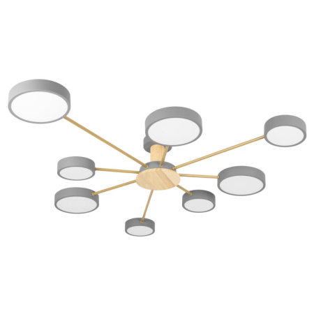 Накладные светильники — Накладной светильник LOFT IT 10316/8 Grey купить в 