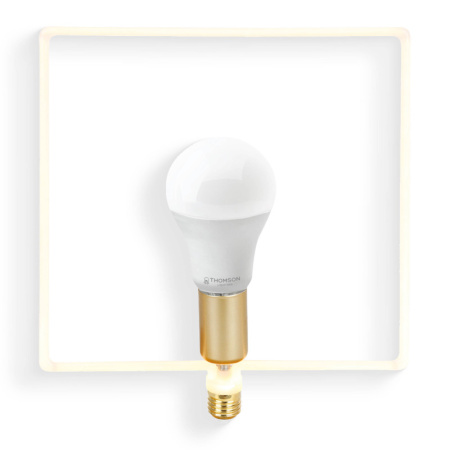 Светодиодные лампы — Светодиодная лампа THOMSON TH-B2402 купить в 