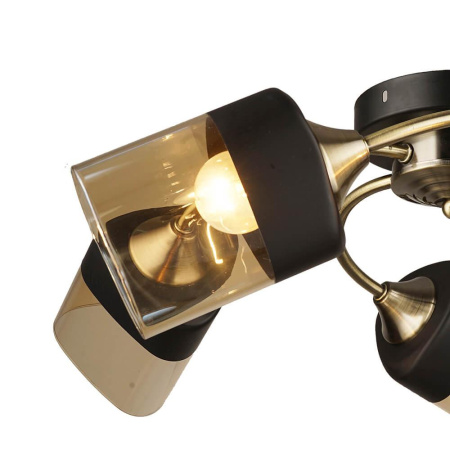 Потолочные люстры — Потолочная люстра Seven Fires Боллат 66396.01.37.05 купить в  Потолочные люстры — Потолочная люстра Seven Fires Боллат 66396.01.37.05 купить в