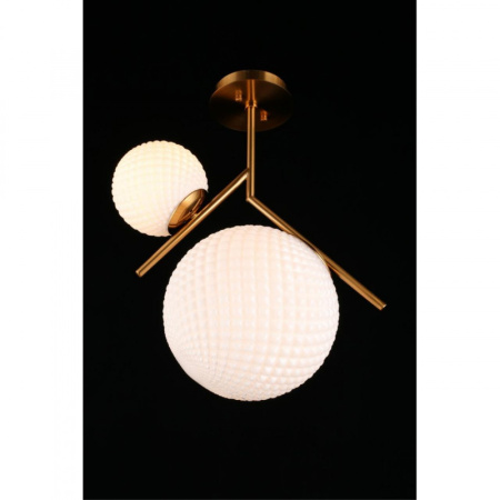 Накладные светильники — Накладной светильник APLOYT APL.300.07.02 купить в 