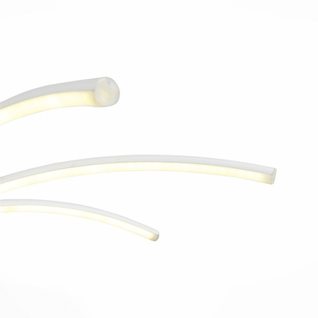 Накладные светильники — Накладной светильник ST-Luce SL953.502.08 купить в 