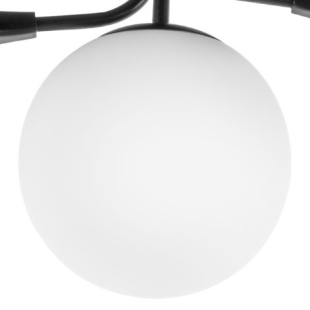 Люстры накладные — Накладная люстра Lightstar 815557 купить в  Люстры накладные — Накладная люстра Lightstar 815557 купить в