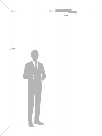 Накладные светильники — Накладной светильник Freya FR10022CL-L63W купить в 