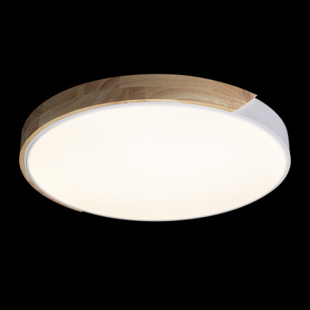 Накладные светильники — Накладной светильник LOFT IT 10004/36 White купить в 