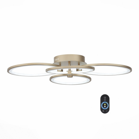 Накладные светильники — Накладной светильник ST-Luce SL867.202.04 купить в 