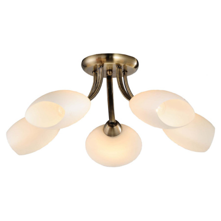 Люстры накладные — Накладная люстра Lussole LSP-0189 купить в  Люстры накладные — Накладная люстра Lussole LSP-0189 купить в