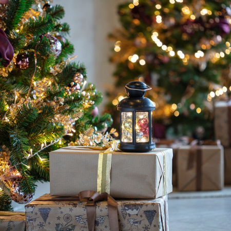 Декоративные светильники — Декоративный светильник Neon-Night 513-061 купить в 