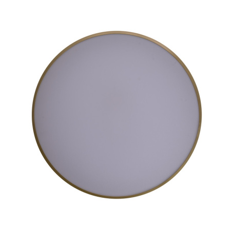 Накладные светильники — Накладной светильник Zortes ZRS.90610.50 купить в 