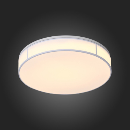 Накладные светильники — Накладной светильник ST-Luce SL417.502.01 купить в 