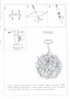 Люстры подвесные — Подвесная люстра Lightstar 754128 купить в  Люстры подвесные — Подвесная люстра Lightstar 754128 купить в