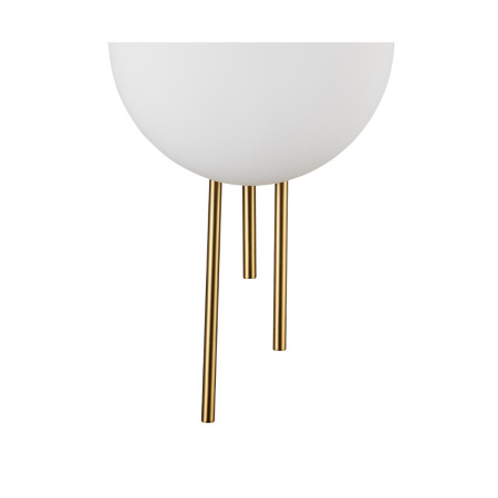 Настенные бра — Настенный светодиодный светильник Indigo ASTRO 14007/1W Brass V000044L купить в  Настенные бра — Настенный светодиодный светильник Indigo ASTRO 14007/1W Brass V000044L купить в