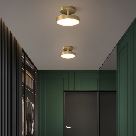 Накладные светильники — Накладной светильник ImperiumLoft 231016-23 купить в 