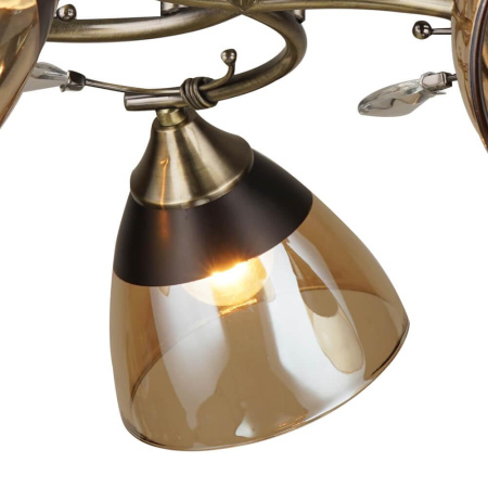 Потолочные люстры — Потолочная люстра Seven Fires Бормио 66368.01.05.05 купить в 