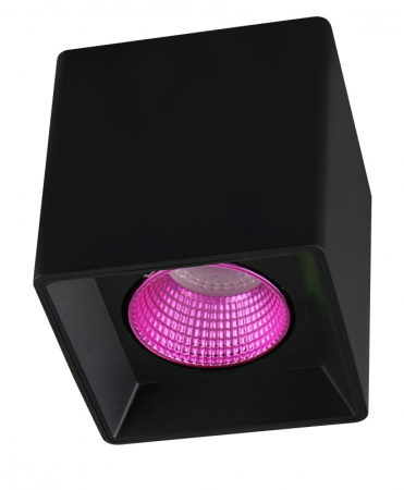 Накладные точечные светильники — Накладной светильник Denkirs DK3080-BK+PI купить в 