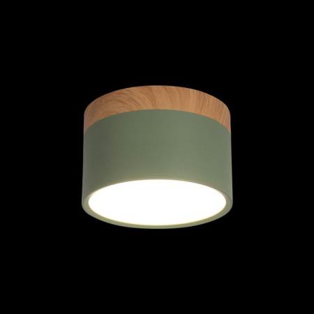 Детские точечные светильники — Детский точечный светильник LOFT IT 10162 Green купить в 