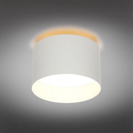 Накладные точечные светильники — Накладной светильник Omnilux OML-100419-16 купить в 