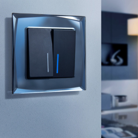 Рамки — Рамка Werkel W0011208 купить в 