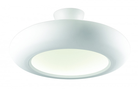 Накладные светильники — Накладной светильник Favourite 1526-12U купить в 