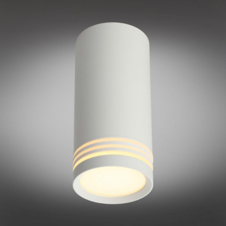 Накладные точечные светильники — Накладной светильник Omnilux OML-100809-01 купить в  Накладные точечные светильники — Накладной светильник Omnilux OML-100809-01 купить в