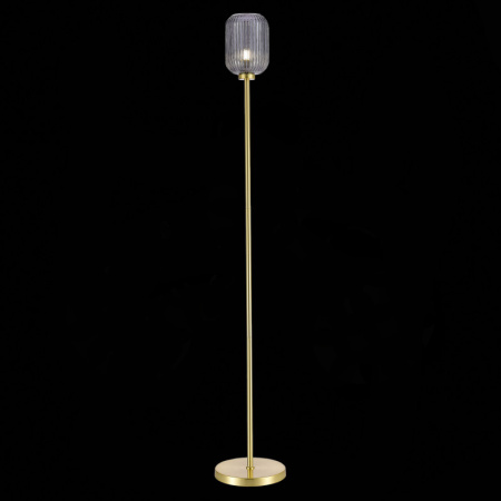 Торшеры и напольные светильники — Торшер ST-Luce SL1154.335.01 купить в 