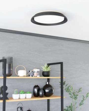 Накладные светильники — Накладной светильник EGLO 900857 купить в 