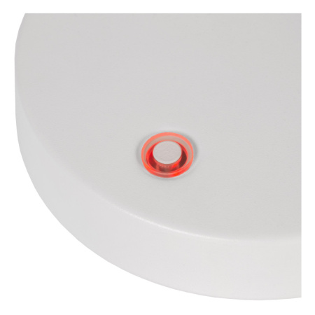 Настольные лампы — Настольная лампа LUCIDE 36621/03/31 купить в 