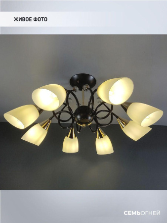 Люстры на штанге — Потолочная люстра Seven Fires Brava WD3514/8C-CF-FGD-WT купить в 