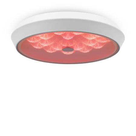 Накладные светильники — Накладной светильник Freya FR10012CL-L24W купить в 