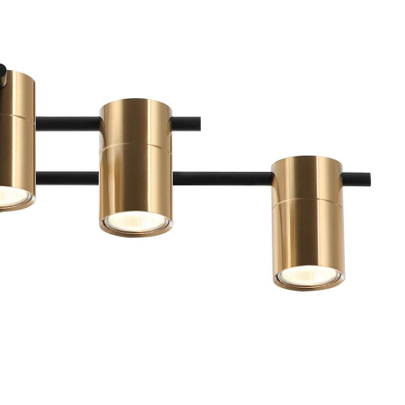 Потолочные люстры — Потолочная люстра Lumien Hall Trey LH4138/6CA-BK-BR купить в 