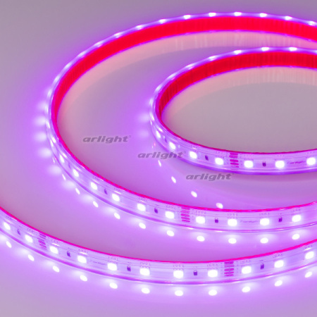 Светодиодные ленты — Лента Arlight 021400(2) купить в  Светодиодные ленты — Лента Arlight 021400(2) купить в