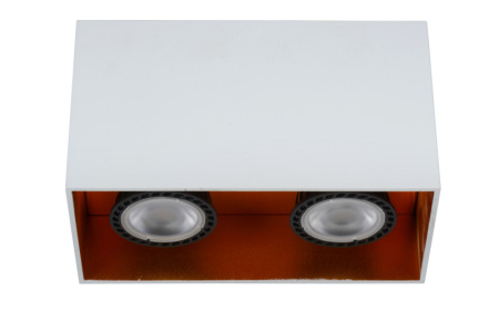 Накладные точечные светильники — Накладной светильник LUCIDE 22966/02/31 купить в 