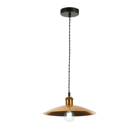 Подвесные светильники — Подвесной светильник ST-Luce SL1017.203.01 купить в 