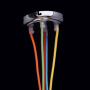 Детские люстры — Детская люстра MW-Light 365014505 купить в  Детские люстры — Детская люстра MW-Light 365014505 купить в
