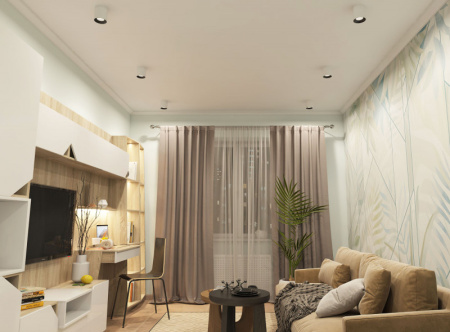 Накладные точечные светильники — Накладной светильник Denkirs DK3090-WB+WH купить в  Накладные точечные светильники — Накладной светильник Denkirs DK3090-WB+WH купить в