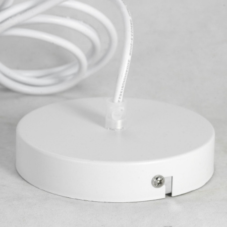 Подвесные светильники — Подвесной светильник Lussole LSP-8220 купить в 