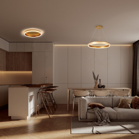 Подвесные светильники — Подвесной светильник Feron 41698 купить в 