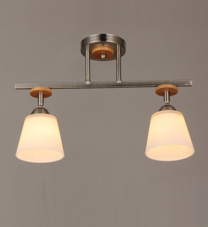 Потолочные люстры — 03193/2 хром купить в 