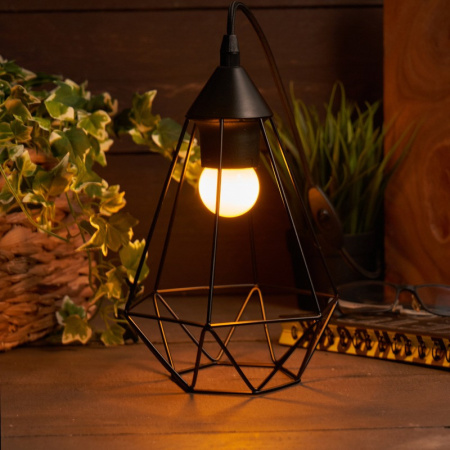 Лампы декоративные — Лампа декоративная Neon-Night 405-111 купить в 