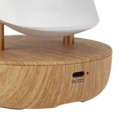 Детские ночники — Ночник детский Neon-Night 503-059 купить в 