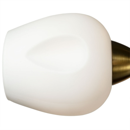 Люстры накладные — Накладная люстра ARTE Lamp A2706PL-5CK купить в  Люстры накладные — Накладная люстра ARTE Lamp A2706PL-5CK купить в
