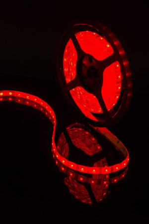 Светодиодные ленты — Лента SWG SWG560-12-14.4-R-65 купить в 