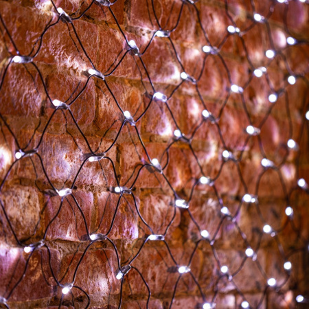 Светодиодные сети — Светодиодная сеть Neon-Night 215-021 купить в  Светодиодные сети — Светодиодная сеть Neon-Night 215-021 купить в