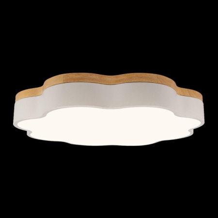 Накладные светильники — Накладной светильник LOFT IT 10225/36 White купить в 