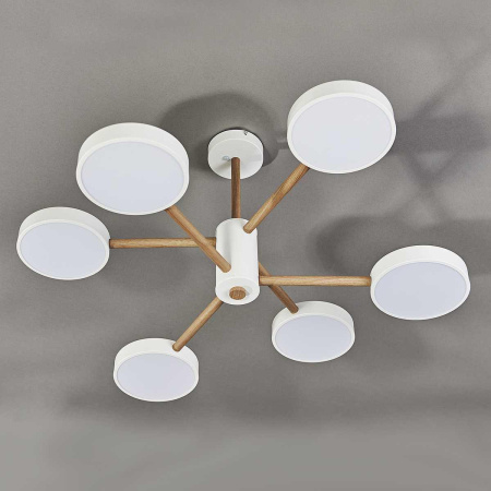 Люстры на штанге — Потолочная светодиодная люстра Escada Astrid 10236/6LED купить в  Люстры на штанге — Потолочная светодиодная люстра Escada Astrid 10236/6LED купить в